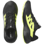 Herren Laufschuhe Salomon Alphaglide Gore-Tex