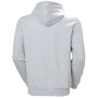 Herren-Sweatshirt Helly Hansen Core Graphic Hoodie