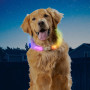 Leuchtendes Hundehalsband Nite Ize NiteHowl Max LED