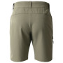 Herrenshorts Dare 2b Torrek II Short