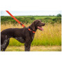 Hundeleine Mountain Paws Extra Tough Dog Lead