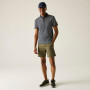 Herren-T-Shirt Regatta Tiver