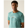 Herren-T-Shirt Regatta Cline IX