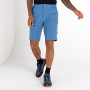 Herrenshorts Dare 2b Tuned In II Short