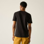 Herren-T-Shirt Regatta Cline IX