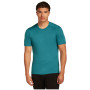 Herren-T-Shirt Icebreaker Mens 200 Oasis SS Crewe