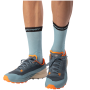 Herren Laufschuhe Dynafit Ultra Gtx