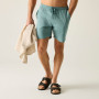 Herrenshorts Regatta Hadlin Shorts