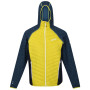 Herrenjacke Regatta Andreson VI Hybrid