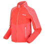 Kinder-Sweatshirt Regatta Oberon V orange FusCrl/NeoPc