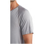 Herren-T-Shirt Icebreaker M Motion Seamless SS Crewe