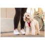 Hundegeschirr Curli Vest Clasp Air-Mesh