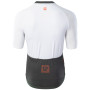 Herren Radtrikot Radvik Echo Gts