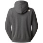 Herren-Sweatshirt The North Face M Hoodie Varsity Graphic