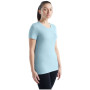 Damen-T-Shirt Icebreaker Women Tech Lite II SS Tee Mountain Lake