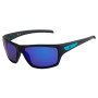 Polarisationsbrille 3F Cover
