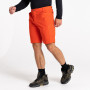 Herrenshorts Dare 2b Tuned In II Short 2023