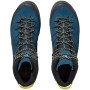 Herrenschuhe Salomon X Alp Mid LTR GTX