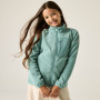 Kinder-Sweatshirt Regatta Junior Frankie F/Z Ivy Moss