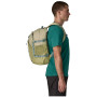 Rucksack Patagonia Refugio Day Pack 30L