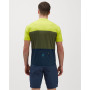 Herren Radtrikot Silvini Turano Pro