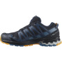 Herrenschuhe Salomon Xa Pro 3D V8