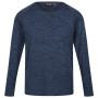 Herren-T-Shirt Regatta Burlow blau/dunkelgrau Stellar