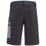 Herrenshorts Salewa Pedroc Cargo 2 DST M Shorts