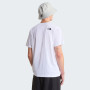 Herren-T-Shirt The North Face M Nse Reg Ss Tee-Graphic