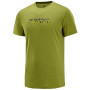Herren-T-Shirt Salomon Agile Graphic Tee M grün AvocadoHeat