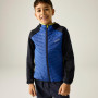 Kinderjacke Regatta Junior Andreson Hybrid Nvy/OlympBlu