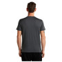 Herren T-Shirt Icebreaker Men Merino 150 Tech Lite Bear Tour