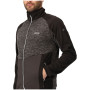 Herren-Sweatshirt Regatta Coladane V