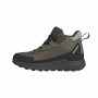 Kinderschuhe Adidas Terrex Anylander Mid Climaproof J Green