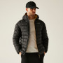 Herrenjacke Regatta Asper