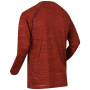 Herren-T-Shirt Regatta Burlow