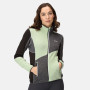 Damen-Sweatshirt Regatta Lindalla VI