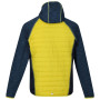 Herrenjacke Regatta Andreson VI Hybrid