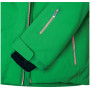 Herren Skijacke Dare 2b Rendor Jacket