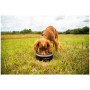 Hundenapf Mountain Paws Basecamp Dog Bowl