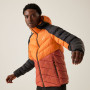 Herrenjacke Regatta Hooded Dalent