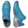 Herrenschuhe Salomon Speedcross 5