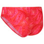 Damenbadeanzug Regatta Aceana Bikini Brief