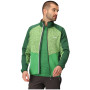 Herren-Sweatshirt Regatta Coladane V