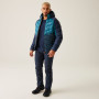 Herrenjacke Regatta Hooded Dalent