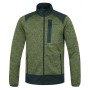 Herren-Sweatshirt Husky Alan M grün