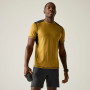 Herren-T-Shirt Regatta Virda