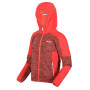 Kinder-Sweatshirt Regatta Dissolver V orange FusCrl/NeoPc