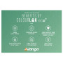 Familienzelt Vango Lismore 450 Package