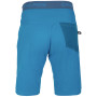 Herrenshorts Direct Alpine Campus Short 2022